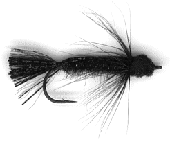 Black fly 2
