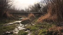 Video thumb for Winter Mouse fishing With Molly Semenik