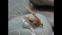 Video thumb for Scruffy March Brown.