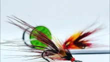 Video thumb for Eddie's Shrimp