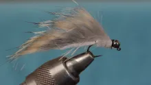 Video thumb for Swimming Crane Fly Larva
