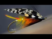 Video thumb for This Fly Rocks!