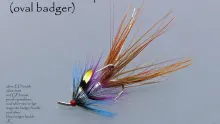 Video thumb for Wilkinson Shrimp
