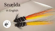 Video thumb for Snælda