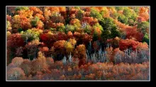 User submitted picture: AutumÂ´s colours,San MartÃ­...