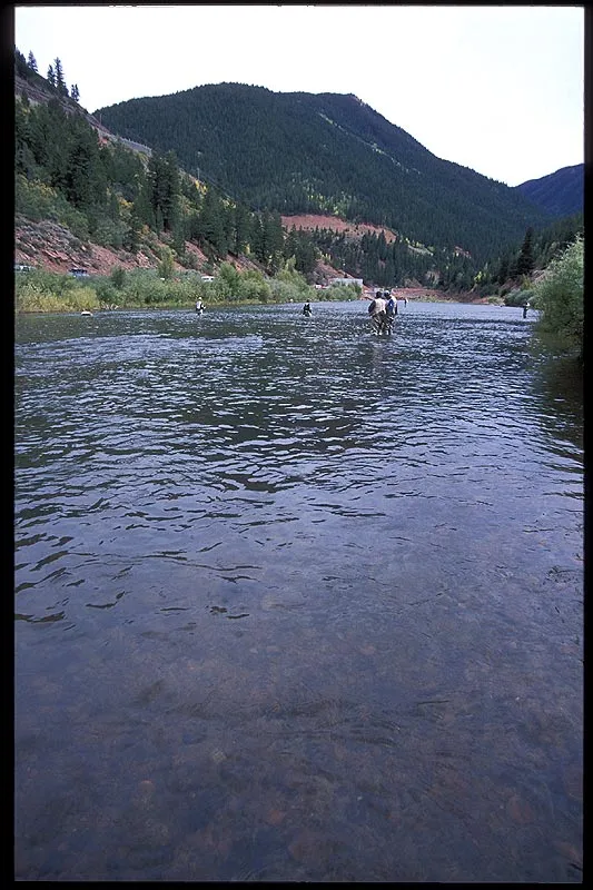 Crowd on the Frying Pan - The tailwater on the Frying Pan just below the dam is quite crowded. The fish are plenty but most have seen everything a normal fly box can offer, and thin tippets are required to entice them. Once you hook a fish and follow it downstream not to have it break you off, you can potentially disturb a dozen anglers and hundreds of fish.